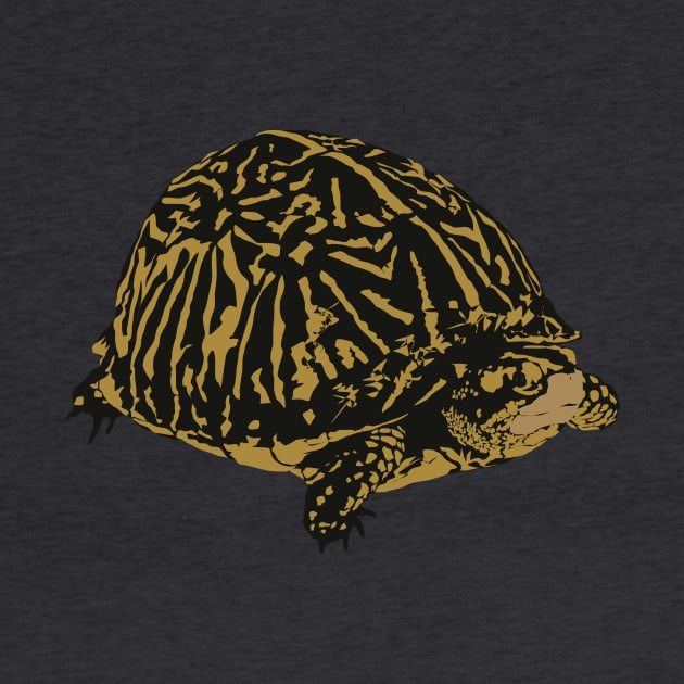 Florida Box Turtle by stargatedalek